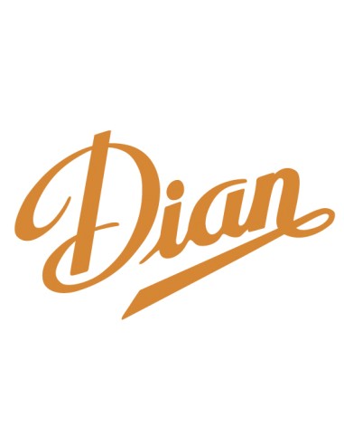 Zapato Laboral 24H Calpe Dian