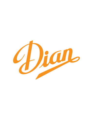 Zueco Estampado Dian JAVEA